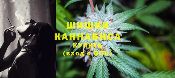 прущая мука Нея