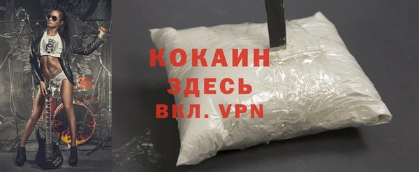 PSILOCYBIN Нязепетровск