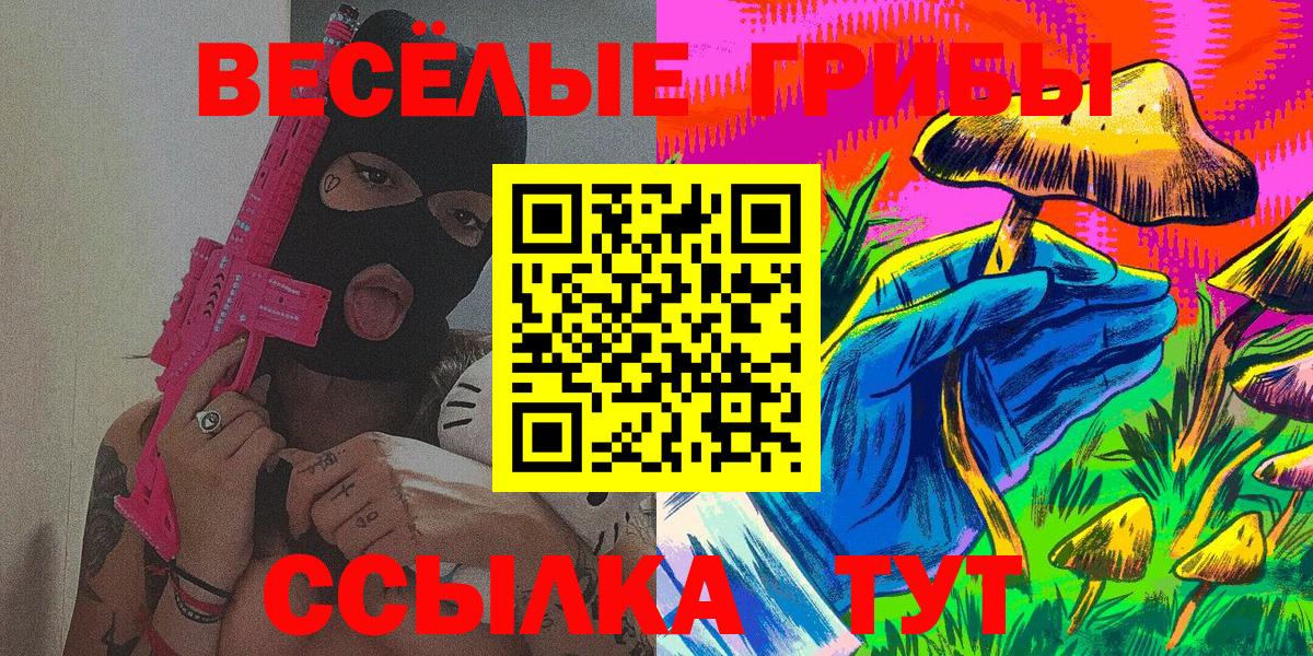 Галлюциногенные грибы Cubensis  Избербаш 