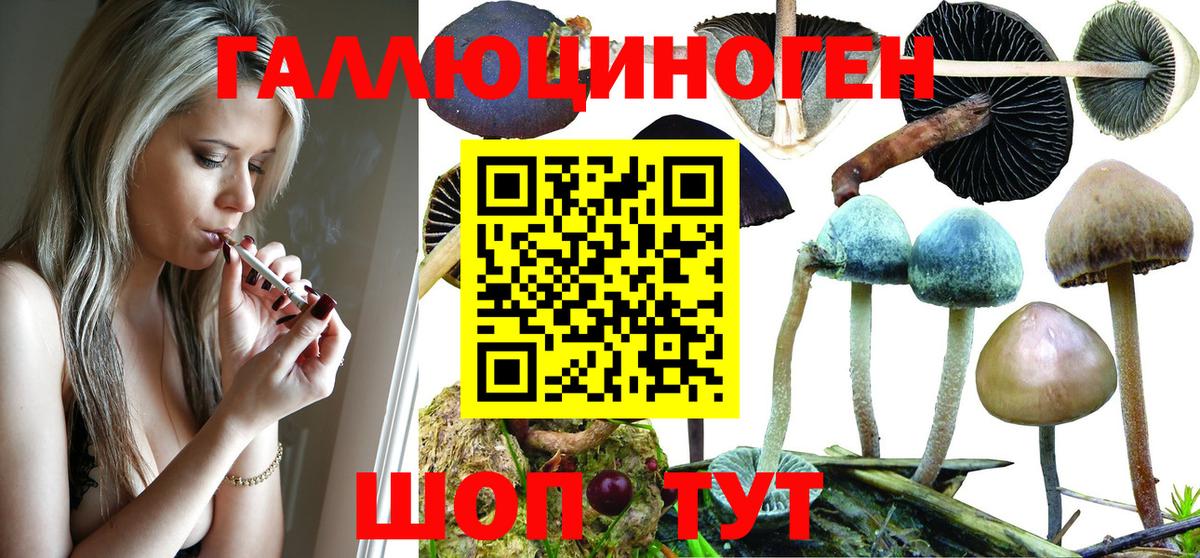 Галлюциногенные грибы Magic Shrooms Избербаш